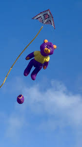 Image result for Kite Club of Scotland