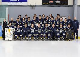 Image result for Winchester Hockey Club