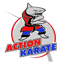 Image result for Action Karate