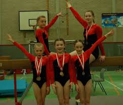 Image result for Appley Bridge Gymnastics Club