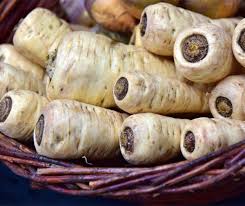 Image result for Pastinake