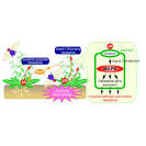 Genetic stress relief<br/> - Research Highlights - RIKEN RESEARCH