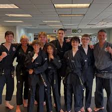 Image result for COURT FIELDS karate Academy