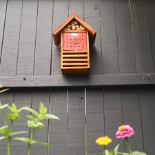 Image result for ladybug house