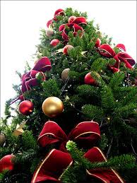 مجموعة صور لأجمل ـشجرة عيد الميلاد - صفحة 5 Images?q=tbn:ANd9GcQ1KKA_hWHyRWLVFmllZVuJFcmkGvvaapyalRkliYpBrQ-XV2LXEA