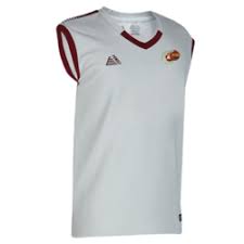 Image result for Wonersh Cricket Club