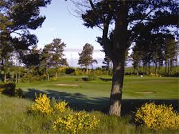 Image result for Forfar Golf Club
