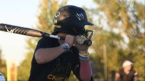 Image result for Cheetahs Softball Team