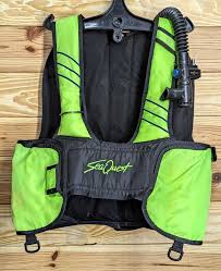 Image result for Seaquest Divers