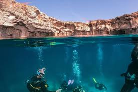 Image result for Blue Water Diving