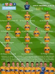 Image result for Clarehurlers