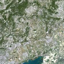 Attēlu rezultāti vaicājumam “Geocrypta galii”