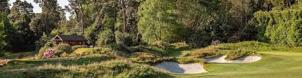 Image result for Hindhead Golf Club
