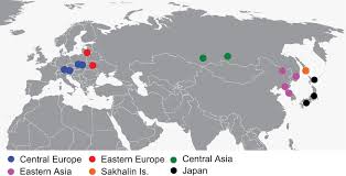 Attēlu rezultāti vaicājumam “Leptura annularis”