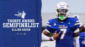 Image result for Thorpe Green Fc