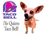 6 Things You Didnt Know About TACO BELL | The Daily Meal