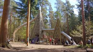 Image result for Go Ape! Thetford