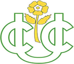 Image result for Undercliffe Cricket Club