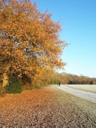 Image result for Coventry Ramblers