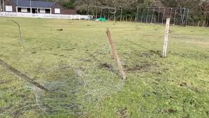 Image result for Cadnam Cricket Club
