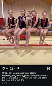 Image result for Holbeach and Fenland Gymnastics Club