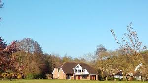 Image result for Wonersh Cricket Club