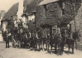 Image result for Porlock Vale Riding School