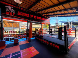 Image result for Muay Thai Clubs