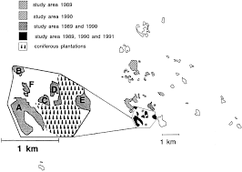 Attēlu rezultāti vaicājumam “Lopinga achine underside”