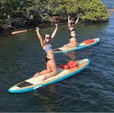 Image result for Paddletastic