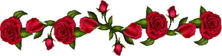 http://t0.gstatic.com/images?q=tbn:ANd9GcQ1RMUnkfTJqnj3uRI9bwrubU2eMUnjH1wq9Q220tgIh6rzL89Yd-V8Loc