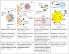 Hypersensitivity diseases