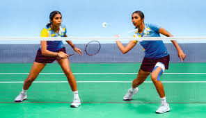 Attēlu rezultāti vaicājumam “Badhamia nitens”