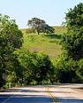 Lone Tree, Sonil, CA - via Daymix