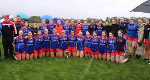 Image result for Erin`s Own Gaelic Athletic & Social Club