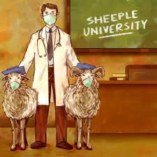 Image result for sheeple