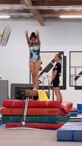 Image result for Monarchs Sports Acrobatics Club