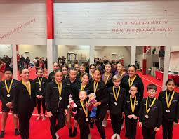 Image result for Ingleby Gymnastics Club