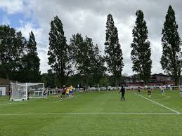 Image result for Warsash Wasps Sports & Football Club