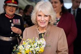 Image result for Camilla Power