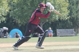Image result for Basingstoke & North Hants Cricket Club
