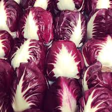 Image result for Chicorée