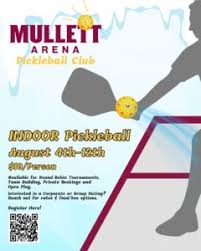 Image result for Motiv8 Pickleball Club