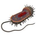 Cytoskeleton - Biology Encyclopedia - cells, body, examples ...