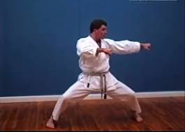Image result for Ataru Shotokan Karate Club