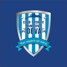 Image result for Deva Handball Club