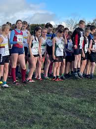 Image result for Leigh Harriers & Athletic Club