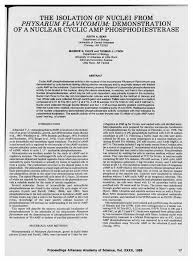 Attēlu rezultāti vaicājumam “Physarum flavicomum”