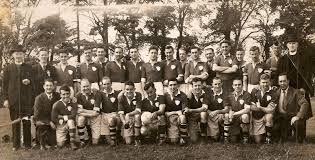 Image result for Patrick Sarsfield Gaelic Athletic Club
