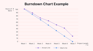 Image result for burnup chart